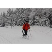 Matt Charles's photo