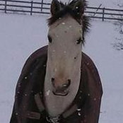 Kelley Wachter's photo