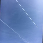 Foto von Jane Garavello