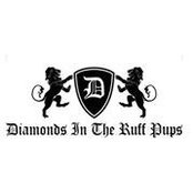 Diamondsintheruff Pups's photo