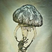 Марина Деко's photo