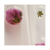 Ola ElRashidy's photo