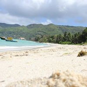 Caroline Fredericks's photo