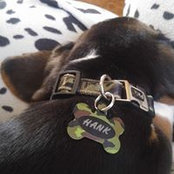 Sara Denike's photo