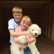 Cyndi Crimmins's photo