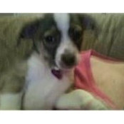 Connie Krzywicki's photo