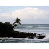 Brad Thavenet's photo