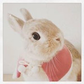 Min Chen's photo