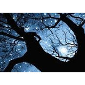 Varina Bray's photo