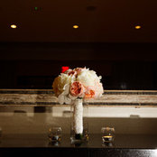 Shelley Cho's photo