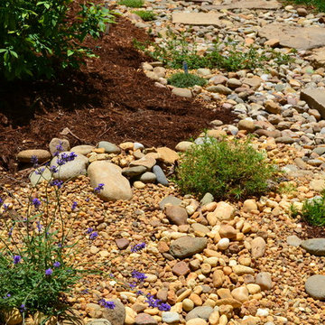 Brookhaven Drought Tolerant Planting