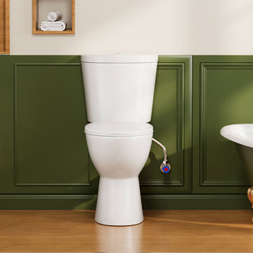19" Rear Outlet Toilet for Small Bathrooms | Compact Upflush Convenience ✨