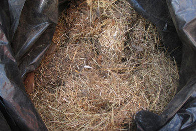 Animal Nesting Removal & Exclusion Work in Fredericksburg, VA