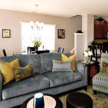 new sofa for living room
