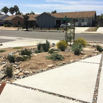 San Diego Native Plant Landscape and Rain Garden