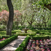 Trees & Landscaping