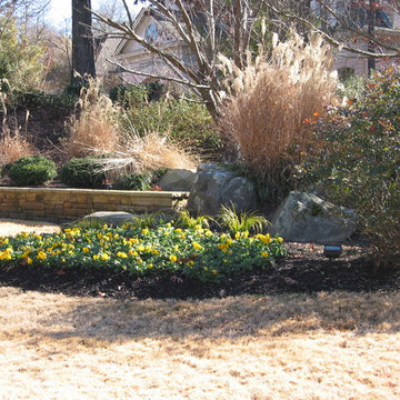 Landscape Design & Installation