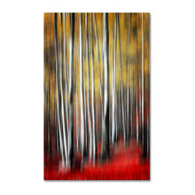 Paintings