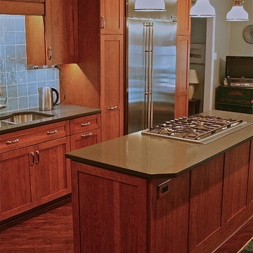 Silver Spring Transitional Kitchen