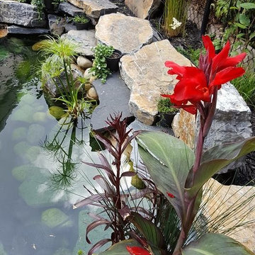 Natural Stone Pond