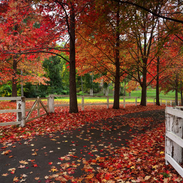 Year Round Property Maintenance