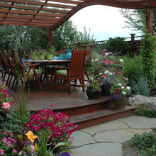 flower garden