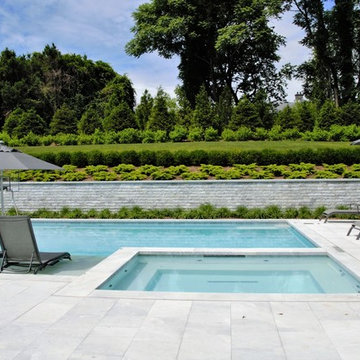 Modern & Bright Swimming Pool + Spa NY Design