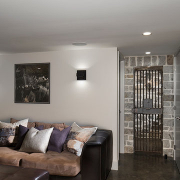 Organic Contemporary Asheville Renovation