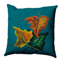 Teal and Orange Livingroom