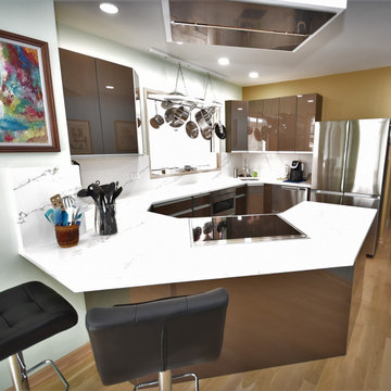 Kitchen Cabinets & Remodeling - St. Louis Ave. Chicago, IL