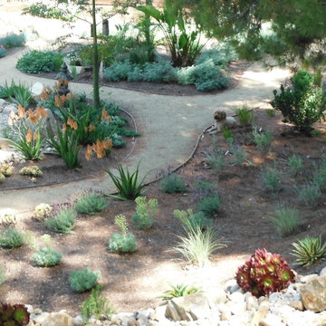 Rancho San Diego Mediterranean Garden