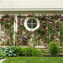 Potomac Cottage