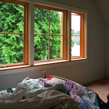 Window