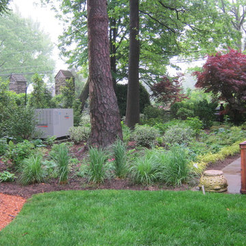 u2014 ALE: Fishers Woodland Garden