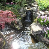 Beth Deaton's photo