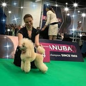 Foto de Elena Gamerman
