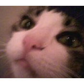 Christine Lauba's photo