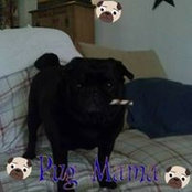 Darlene Moser's photo