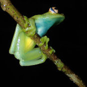 Sarah Crouch's photo