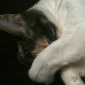 Paula Briglin's photo