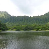 Terrence Tadaki's photo