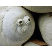 AlexandAutumn White's photo