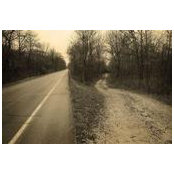 Michael TheFox's photo