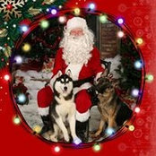 Karen Stenlund's photo