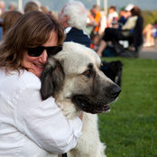 Joan Churchill's photo