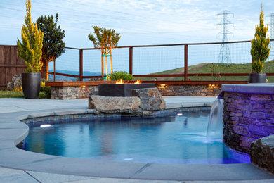 Inspiration for a mid-sized modern backyard stone and custom-shaped pool landscaping remodel in San Francisco