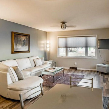 House Remodel- New Prague