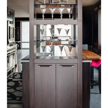 Contemporary Penthouse (Art Collector)