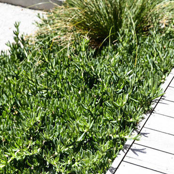 Blairgowrie Coastal Home & Landscape