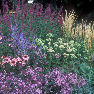 Sustainable Gardening